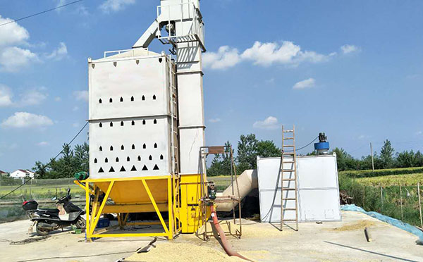 水稻烘干机 水稻烘干机